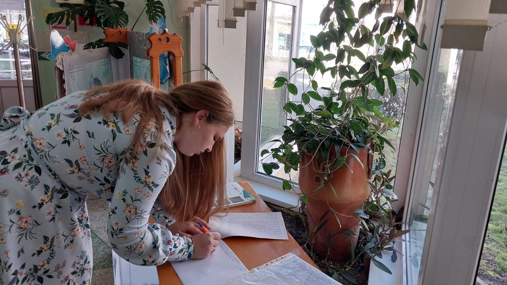 Голосование за благоустройство территорий